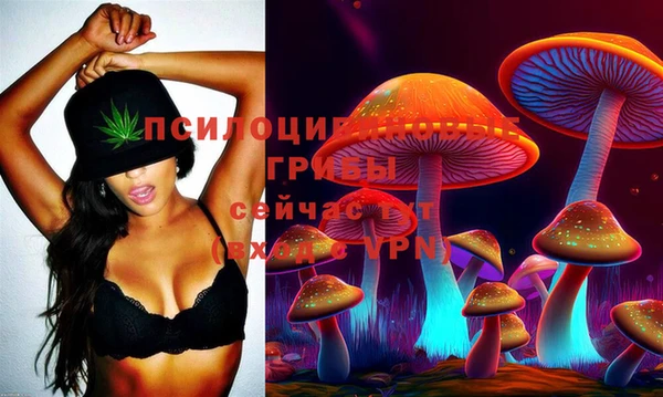 тгк Лагань